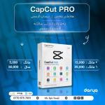 CapCut Pro