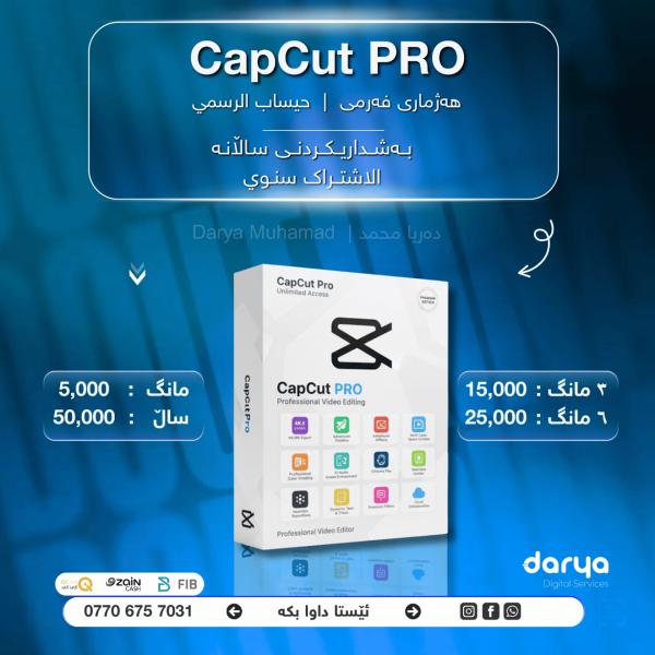 CapCut Pro